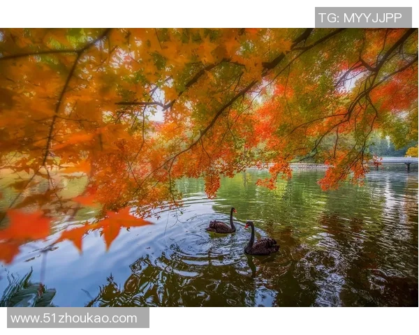 木浦市与大邱的魅力对决探索两座城市的独特风情与文化差异